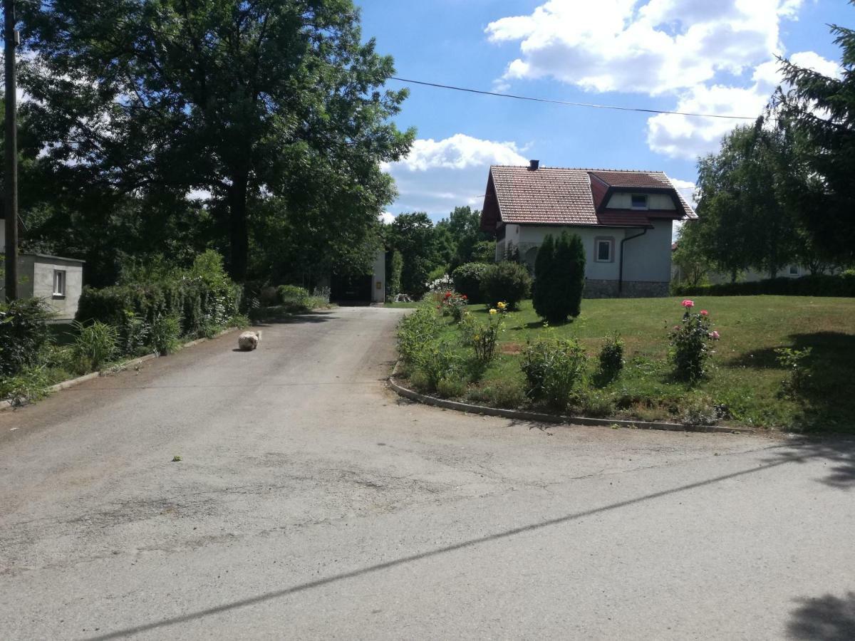 Apartman Jasmin Lejlighed Čatrnja Eksteriør billede